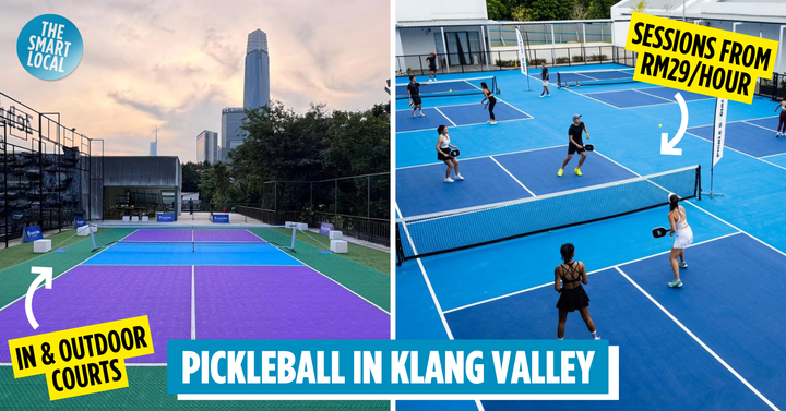 Financial Viability of Pickleball in Malaysia: Strategies for Sustainable Operations